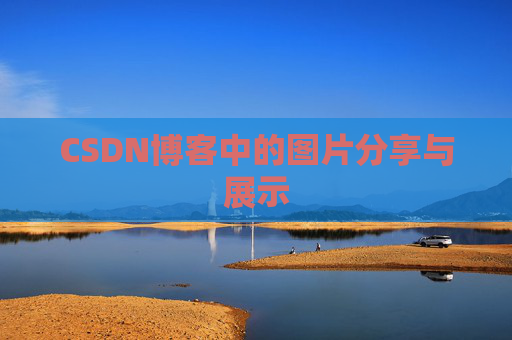 CSDN博客中的图片分享与展示